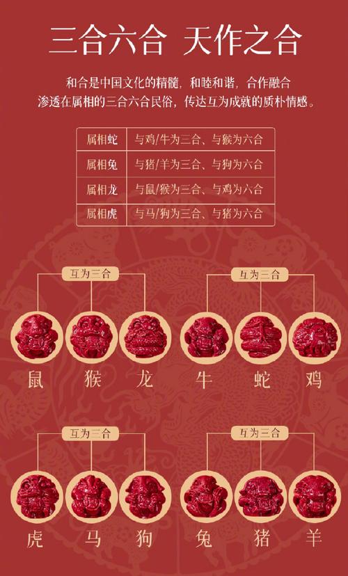 半条虫子代表什么生肖,半条虫子代表什么生肖和动物