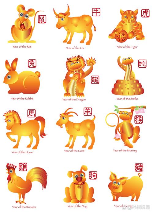 “断瓦残恒”打一个生肖动物