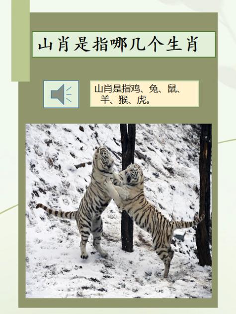 辛打一生肖是什么,辛是什么生肖是什动物