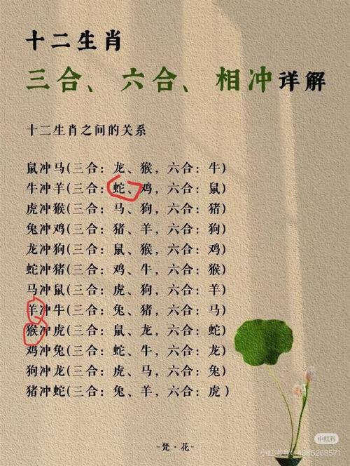 “见危授命”指什么生肖