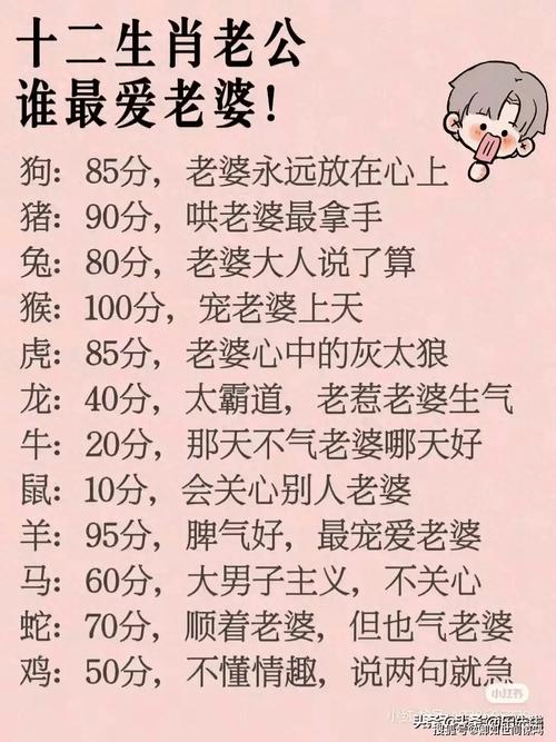 什么生肖最好骗来成为夫妻的简单介绍