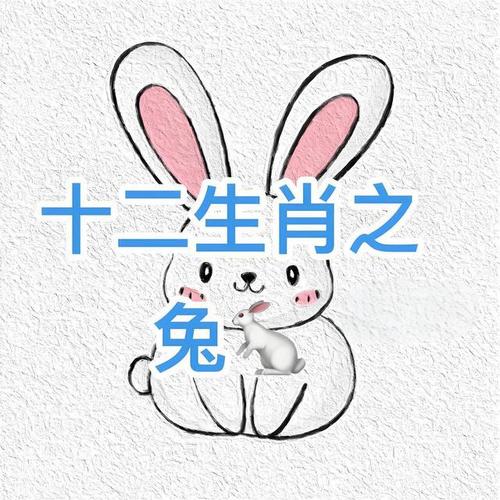 “好美丽的兔子”打一准确动物生肖