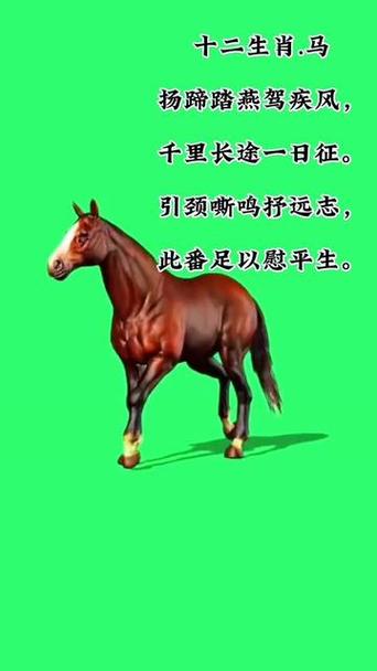 “取之有道延命运天天向上”打一生肖是什么