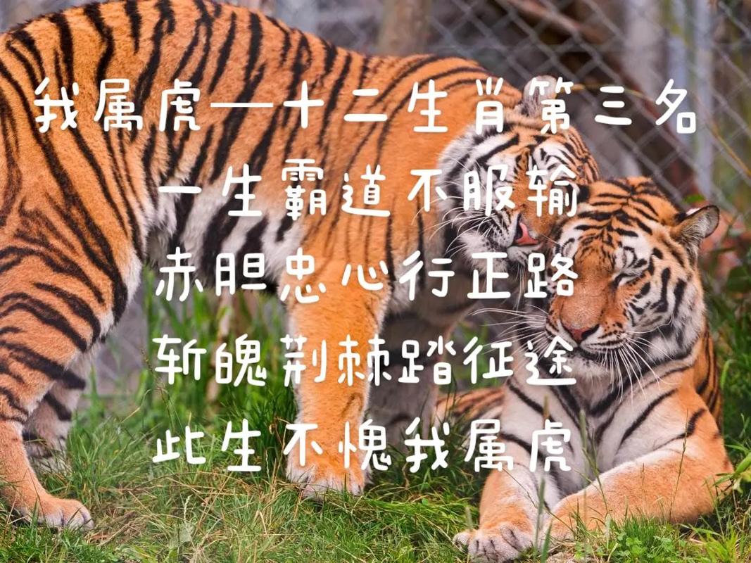 “觅于前路,不肯罢休,山重水復继续走”打一准确动物生肖