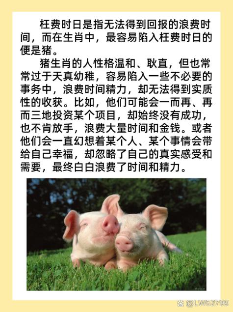 “枉费时日”是代表哪个生肖