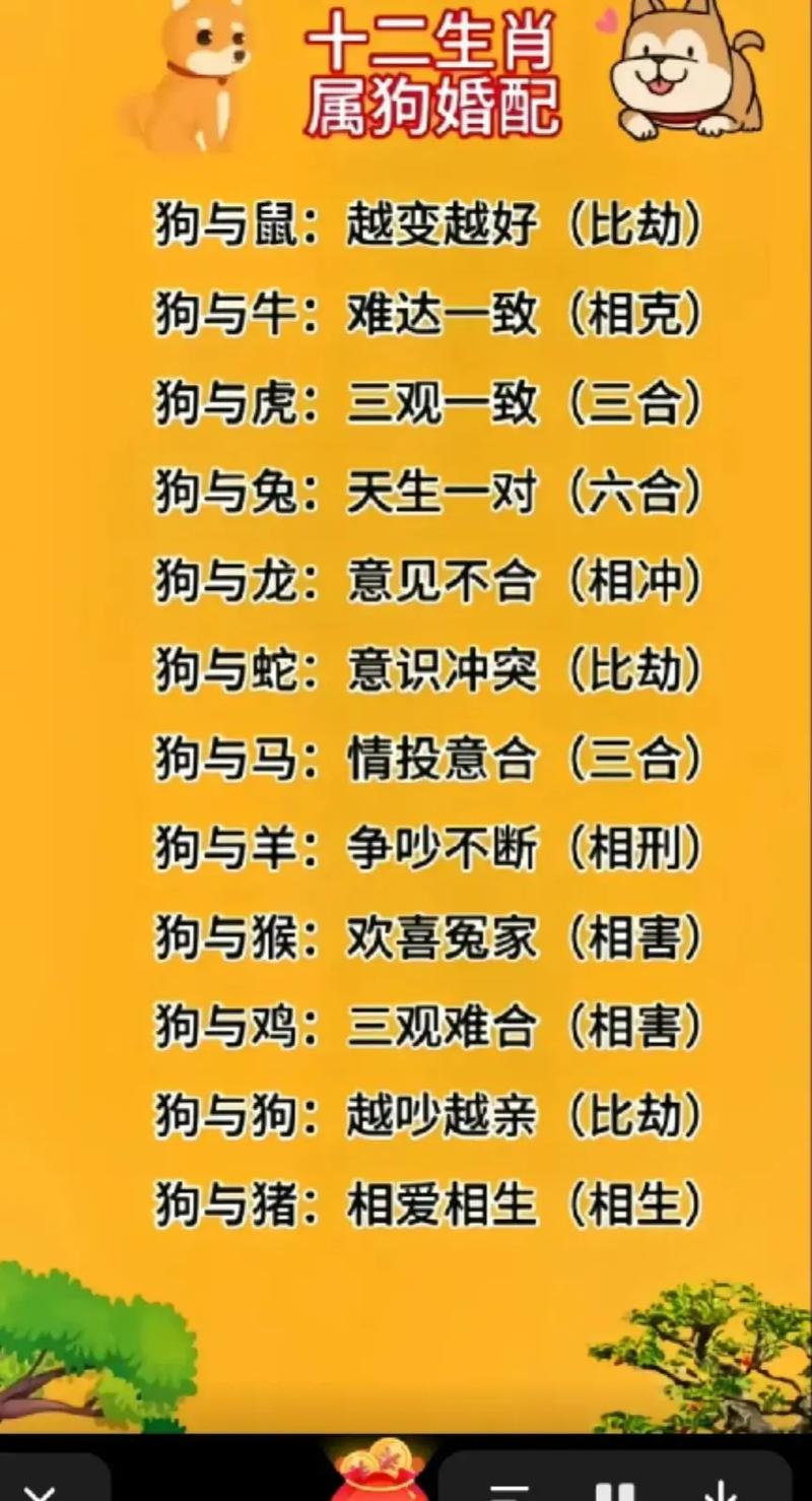 今期生肖出在狗正确答案,今期生肖出在水是什么生肖