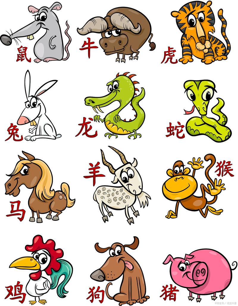 “急如风火”是什么生肖动物