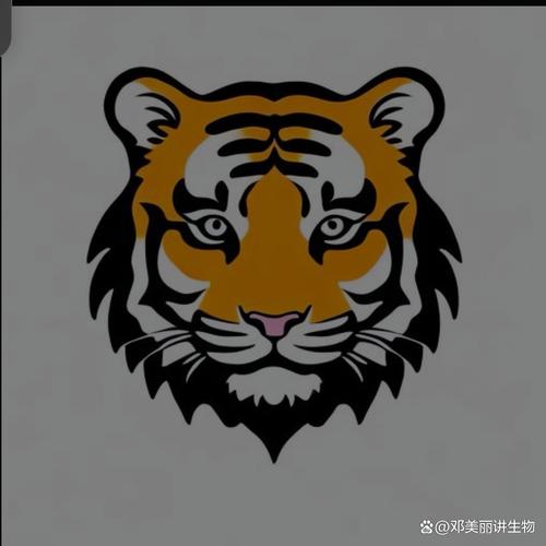 什么生肖开金花是什么生肖的简单介绍