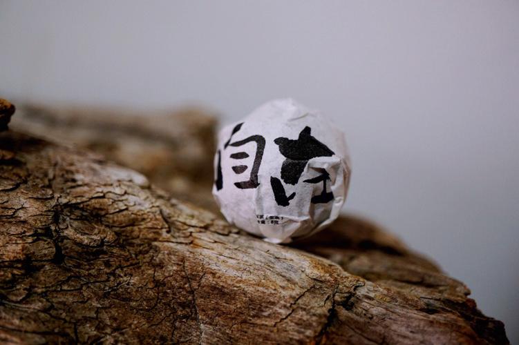 “神出鬼入难捉摸,悠然自在逛大街”打一准确生肖