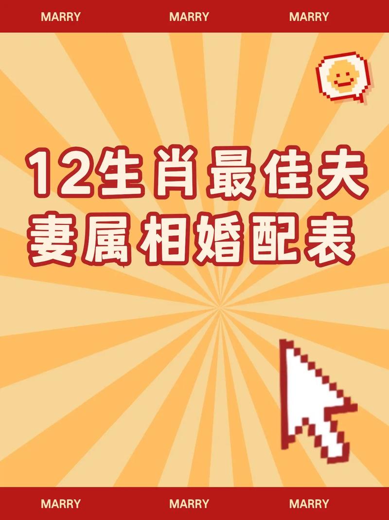 “一对夫妻正及时”打一最佳准确生肖