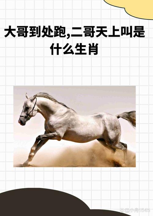 “怒火中烧”是什么生肖动物