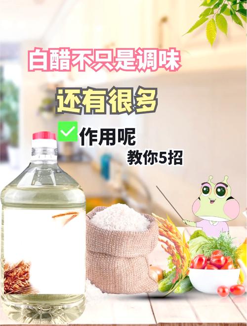 醋在生活中的十四种妙用,醋在生活中的十四种妙用图片