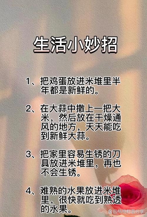 生活妙招100条,生活妙招小窍门1000招