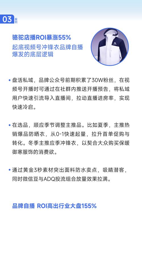 超元决战:掌握角色搭配与团队协作的策略指南