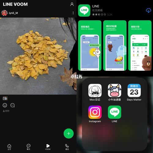 line社交群,line社交app