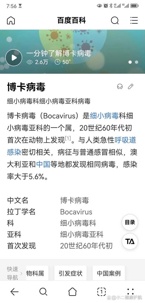 博卡病毒属于什么病毒,博卡病毒属于什么病毒感染