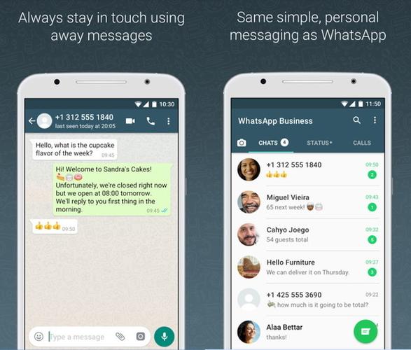 whatsapp免费下载官网,whatsapp免费下载最新版