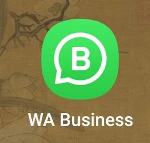 whatsappapk官网,whatsapp下载官方下载