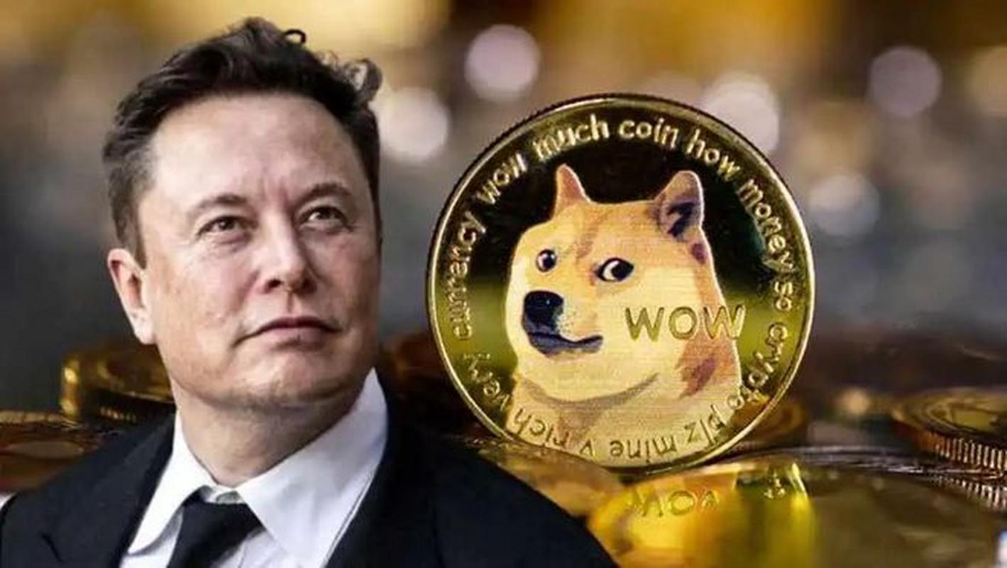狗狗币马斯克火箭,马斯克提醒狗狗币有风险
