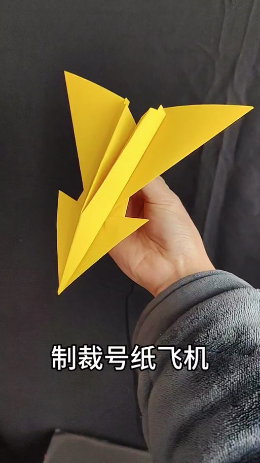 如何登录纸飞机软件,在国内纸飞机怎么登录