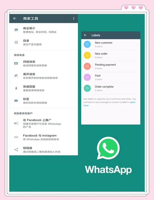 WhatsApp在大陆可以用吗?解析中国使用限制与替代应用选择