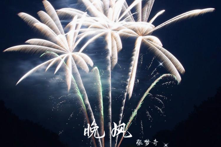 俄罗斯歌曲晚风合唱版,俄罗斯歌曲晚风合唱版视频