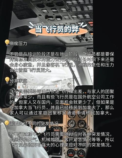 男飞行员失联事件深度剖析:原因、应急响应与未来安全展望