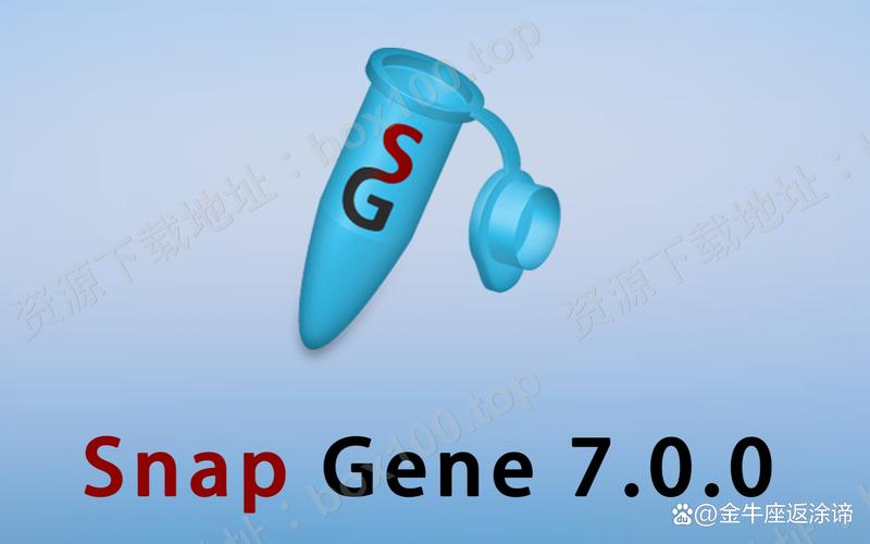snapseed正版在哪下,snapseed download
