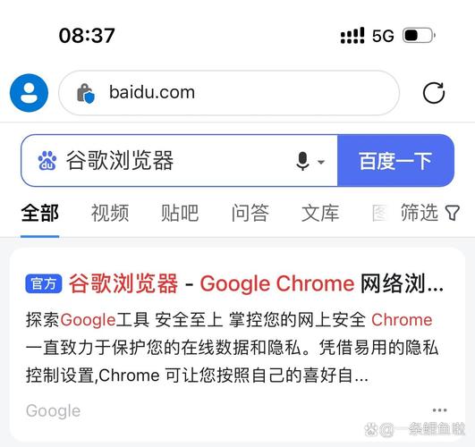 chrome浏览器安卓版下载,chrome浏览器安卓版下载安装v78官方中文版