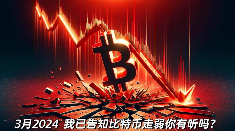 比特币最新预测分析师视频,比特币最新预测分析师视频讲解