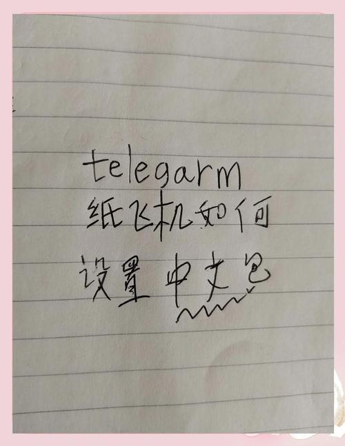 纸飞机改成中文,纸飞机改中文链接