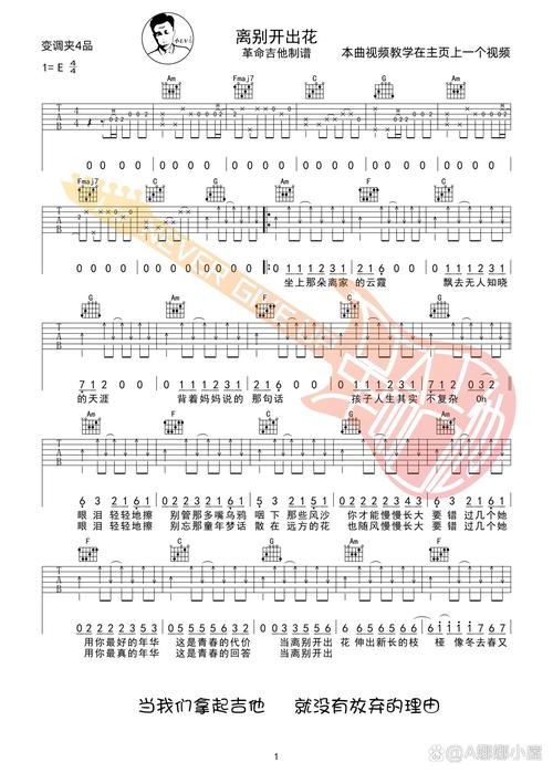 离别开出花,离别开出花吉他谱
