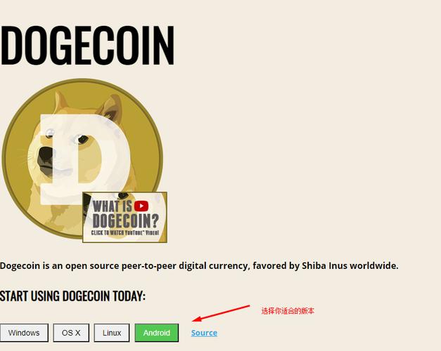 网页挖矿狗狗币,手机挖矿狗狗币app