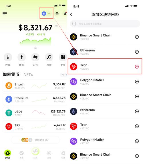 usdm币是什么意思,usdm支付是什么意思