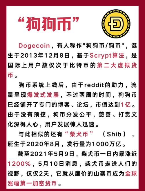 狗狗币为什么被央视点名,狗狗币2025年牛市预测