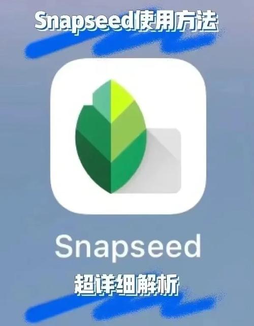 snapseed怎么换成中文,snapseed操作指南30讲