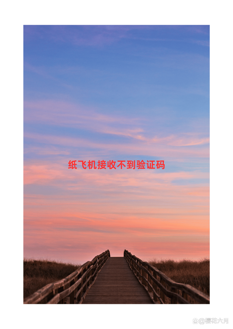手机版纸飞机怎么注册,安卓纸飞机怎么注册账号?