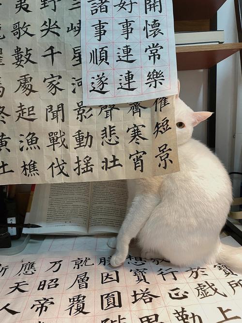 今期生肖才八斗最佳动物,今期生肖才八斗,五更鼓角声悲壮