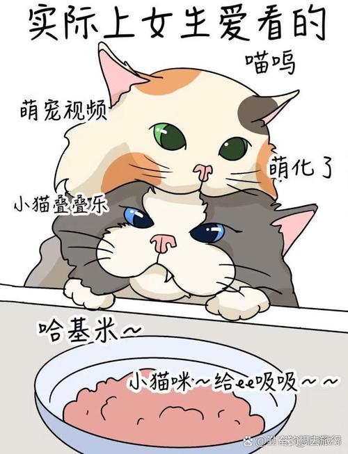 波欧猫,波欧猫吐黏人什么意思