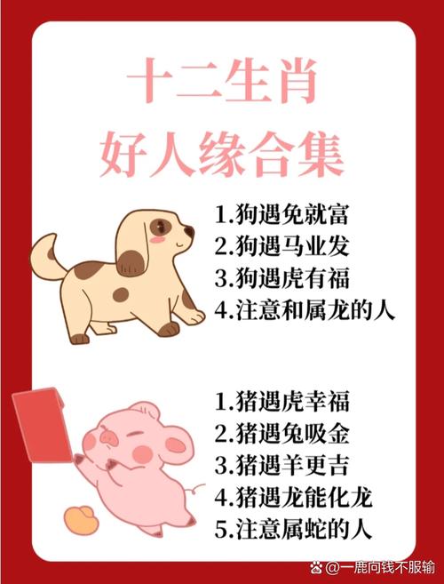 今期生肖住门庭准确生肖,今期生肖住门庭,猜一生肖