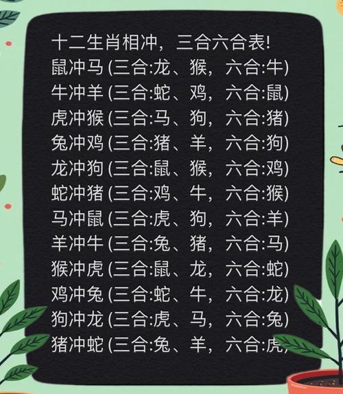 一九相合今期最佳答案,一九相合用心猜是什么生肖