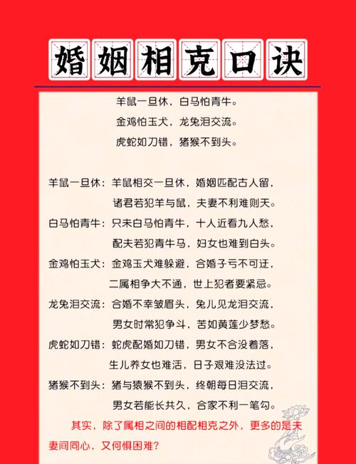 什么生肖相合相克,哪些生肖相克又相合