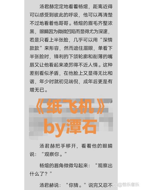 关于纸飞机小说短句经典语录的信息