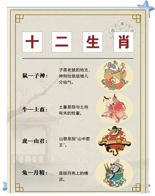 冷门生肖,冷门生肖正确答案