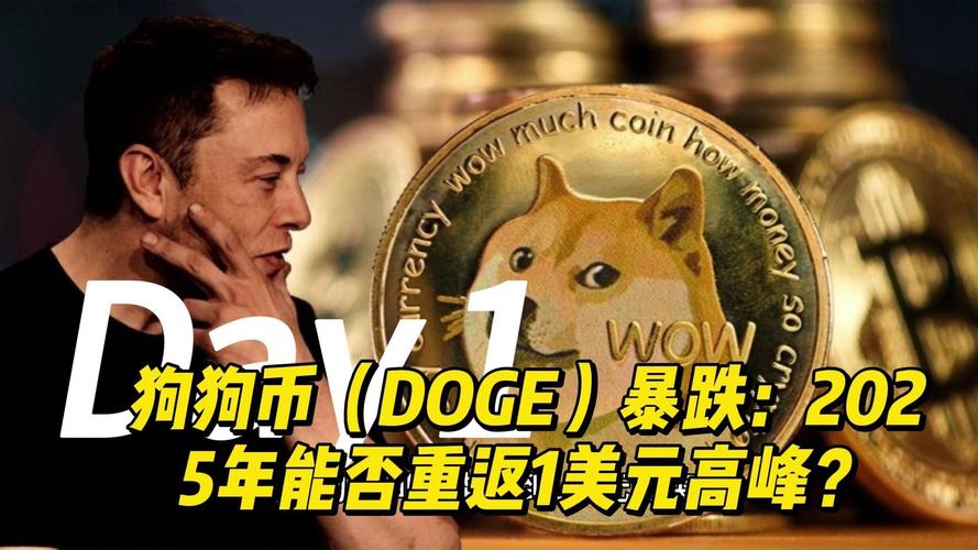 狗狗币未来2025价格,狗狗币未来能涨到100美元吗