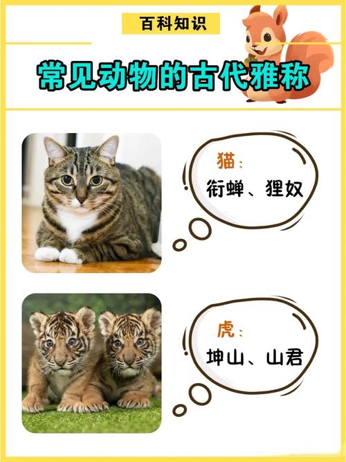 古代动物名称,古代动物名称单字