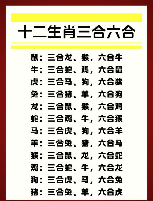 二人三足最准确一肖,二人三足打一个最佳生肖