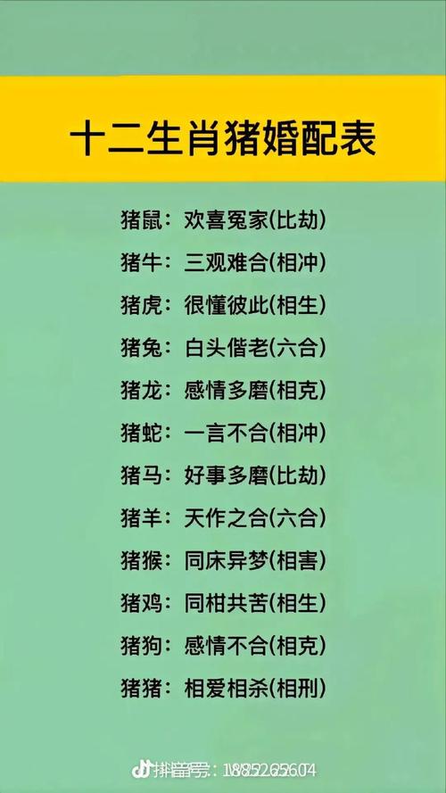 打一生肖动物指的是的简单介绍