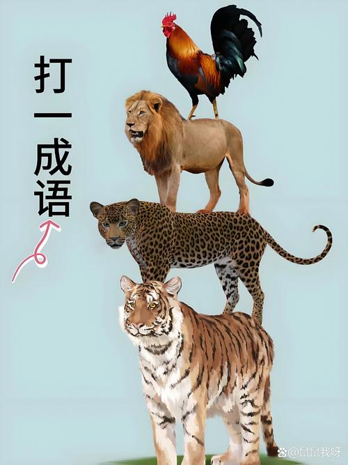 立竿见影打一动物,立竿见影打一动物成语