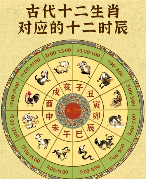 宛然如生是什么生肖,宛然如生是什么生肖动物图片及名字